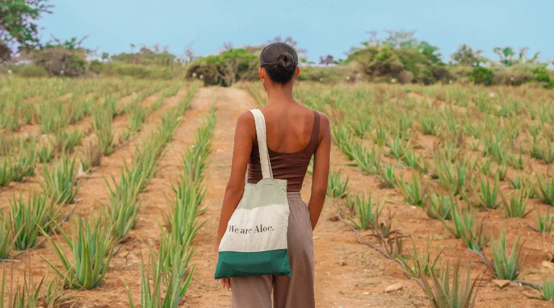 THE POWER OF ALOE