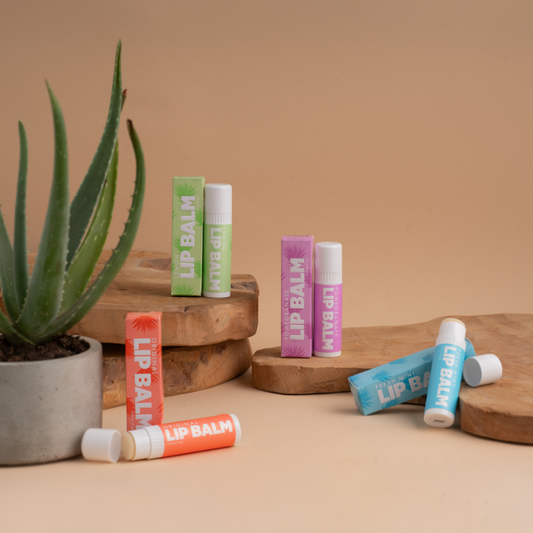 Aruba Aloe Lipbalms