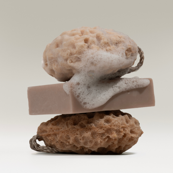 Shea Butter Care Soap