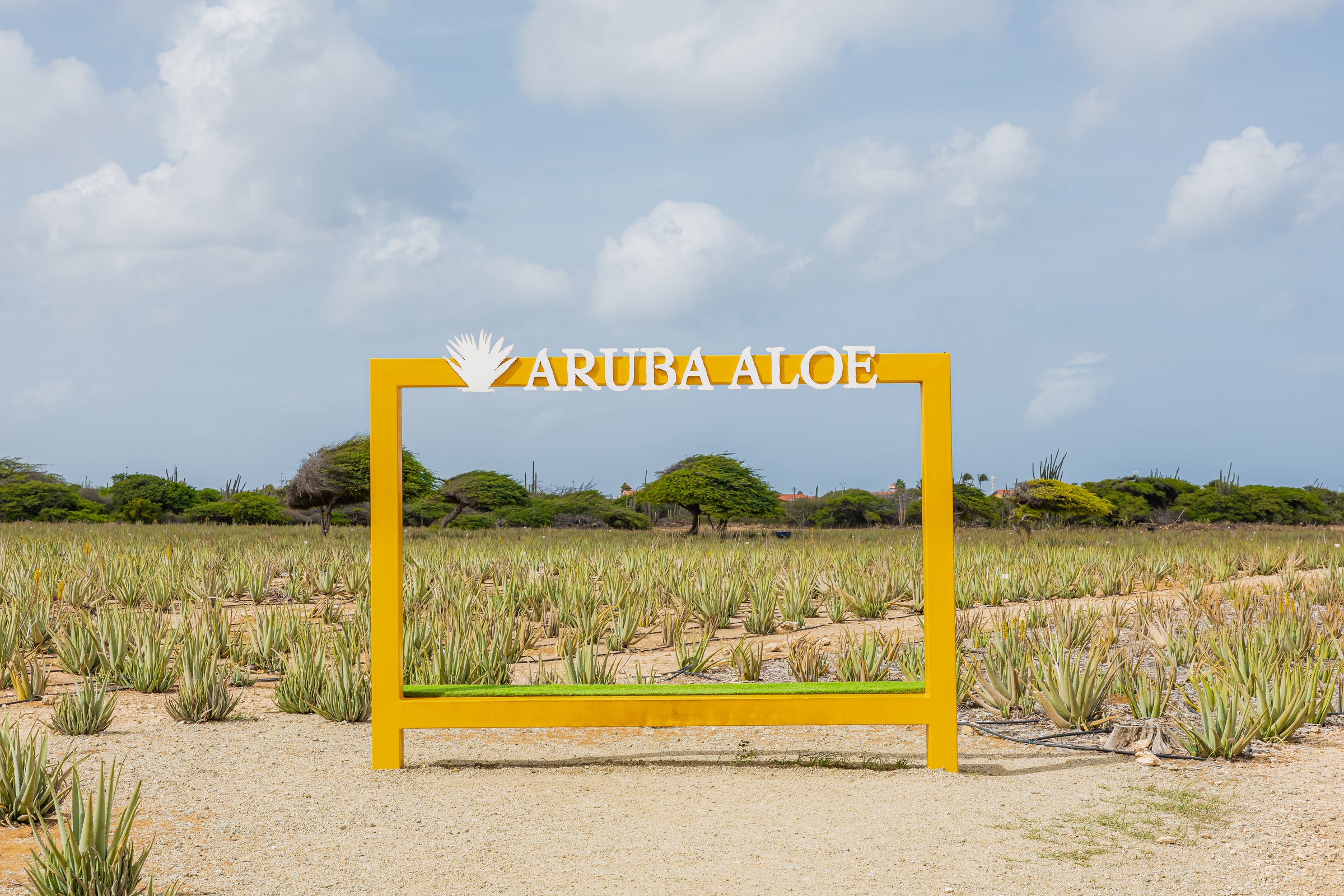 Aruba Aloe Factory & Museum (2026)  Best of TikTok, Instagram & Reddit  Travel Guide