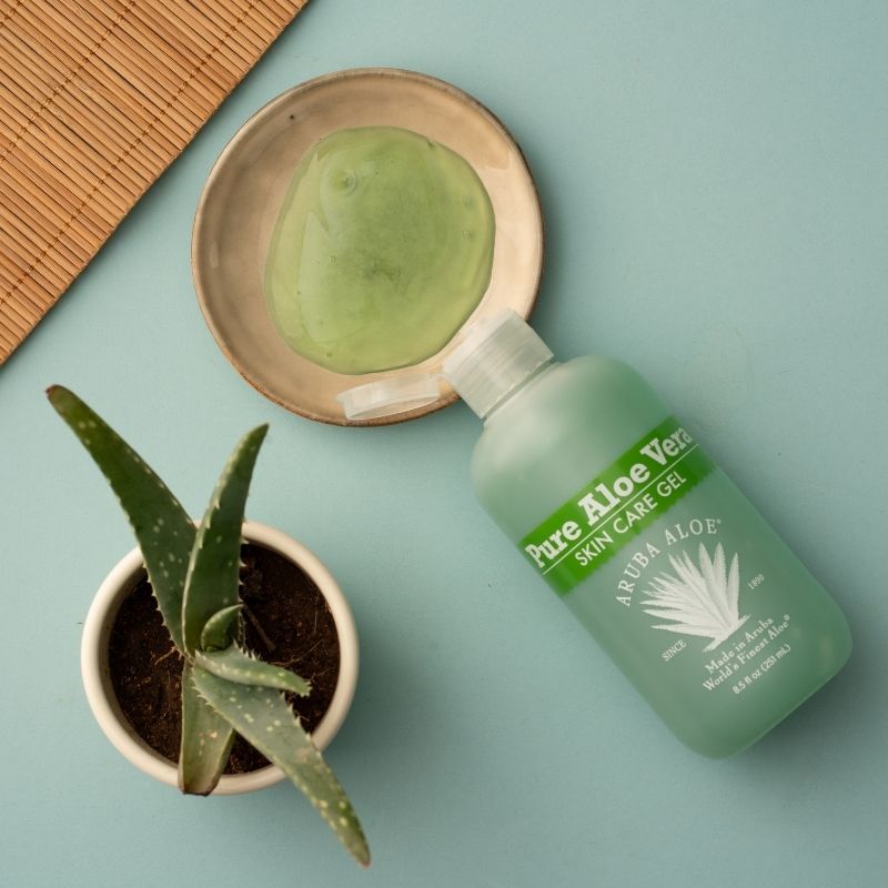 skin care aloe vera plant Pure Aloe Vera Skin Care Gel 8. 5 oz